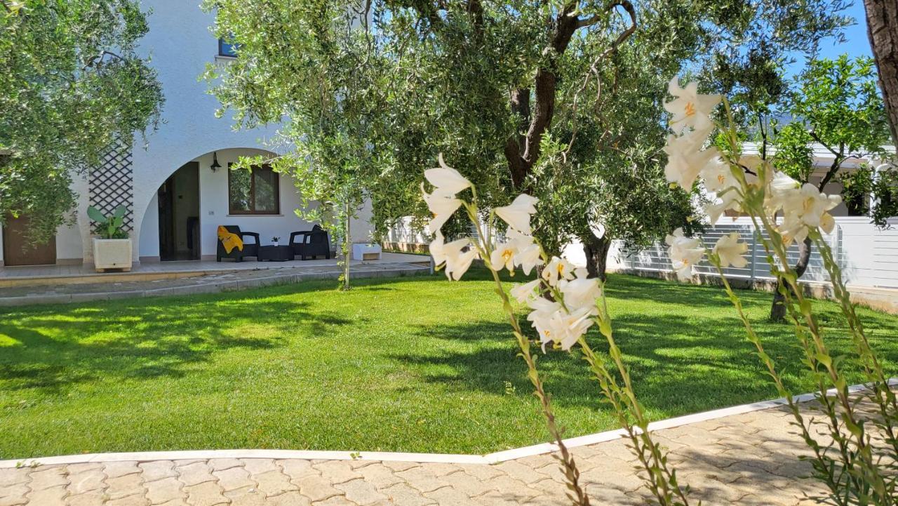 Apartahotel Torre Del Porto 3*